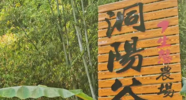 廣有合頁2019踏春拓展--經(jīng)歷中成長，成長中經(jīng)歷