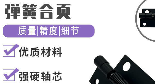 彈簧合頁(yè)，引領(lǐng)生活|廣有五金&東莞合頁(yè)